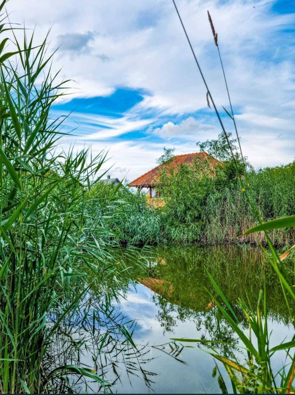 Вілла Agroturystyka Pod Podkowa Мронгово Екстер'єр фото