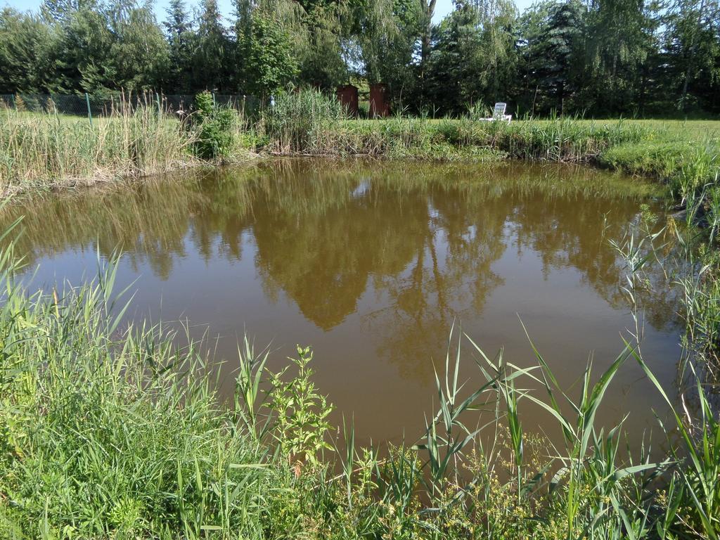 Вілла Agroturystyka Pod Podkowa Мронгово Екстер'єр фото